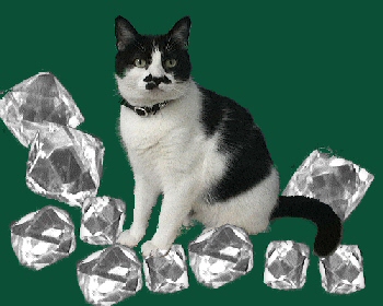 A black and white cat sat amongst some enormous diamonds.