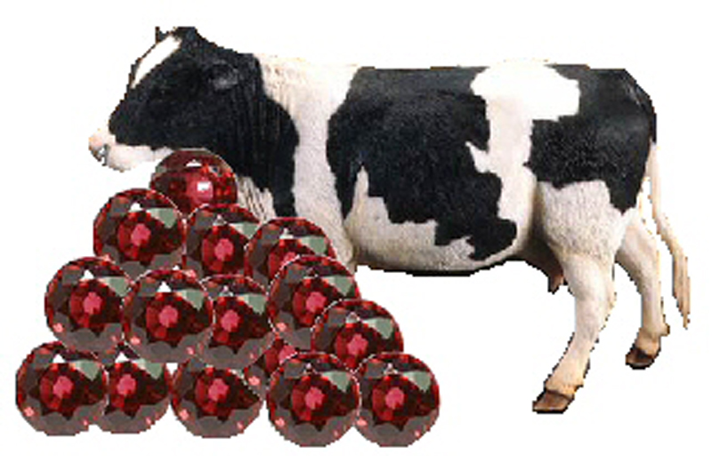 A frieisian cow stood next to some giant rubies