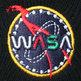 WASA Logo - a bit like the NASA one only with a dragon across it.